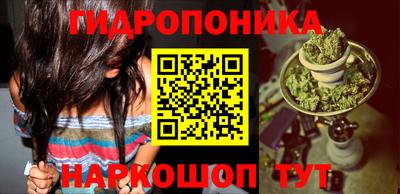 ECSTASY Рыбинск