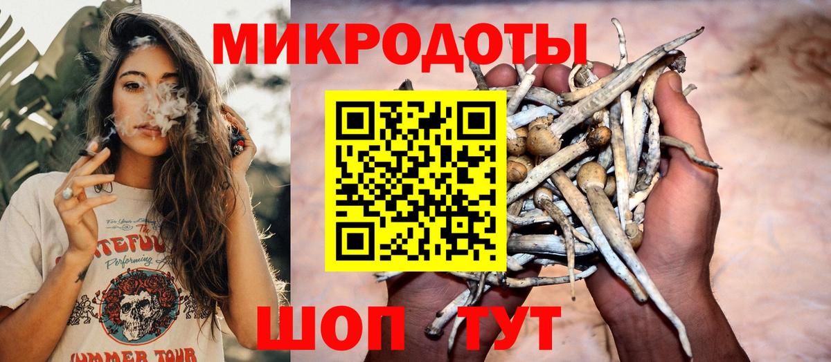 Псилоцибиновые грибы ЛСД Пугачёв